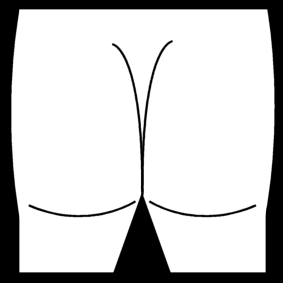 buttocks